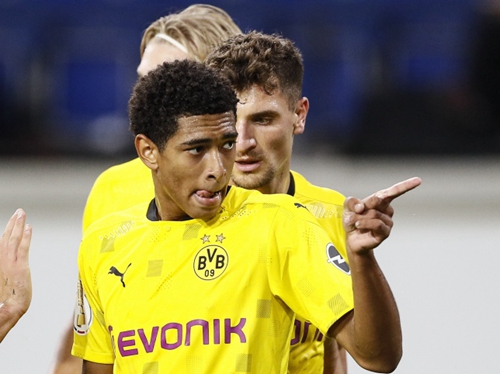 体育组织的 体育组织的